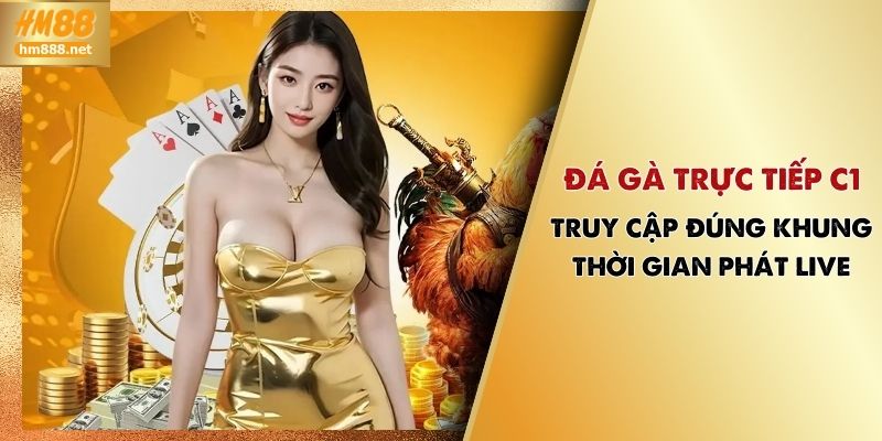 Đá Gà Trực Tiếp C1 | Truy Cập Đúng Khung Giờ Phát Live